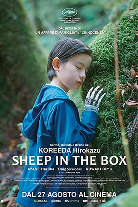 Sheep in the Box